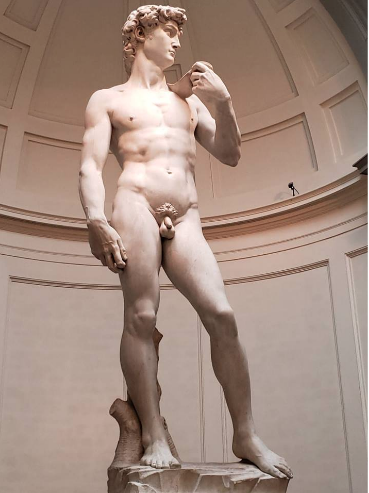 The David, in the Accademia Gallery - Florence, Italy.