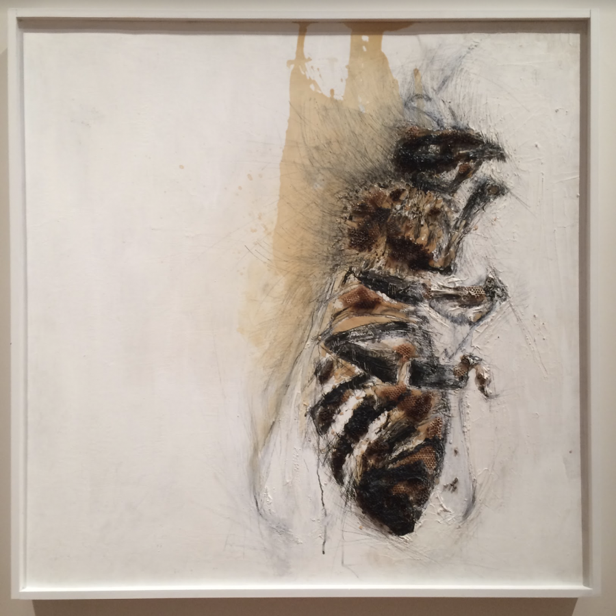 New art exhibit explores the loss of bees