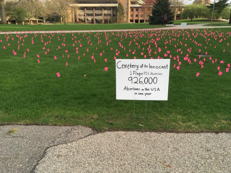 Protect Life at Calvin Colleges flag event, the Cemetery of the Unborn.