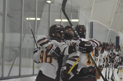 Knights celebrating a goal at a home game 