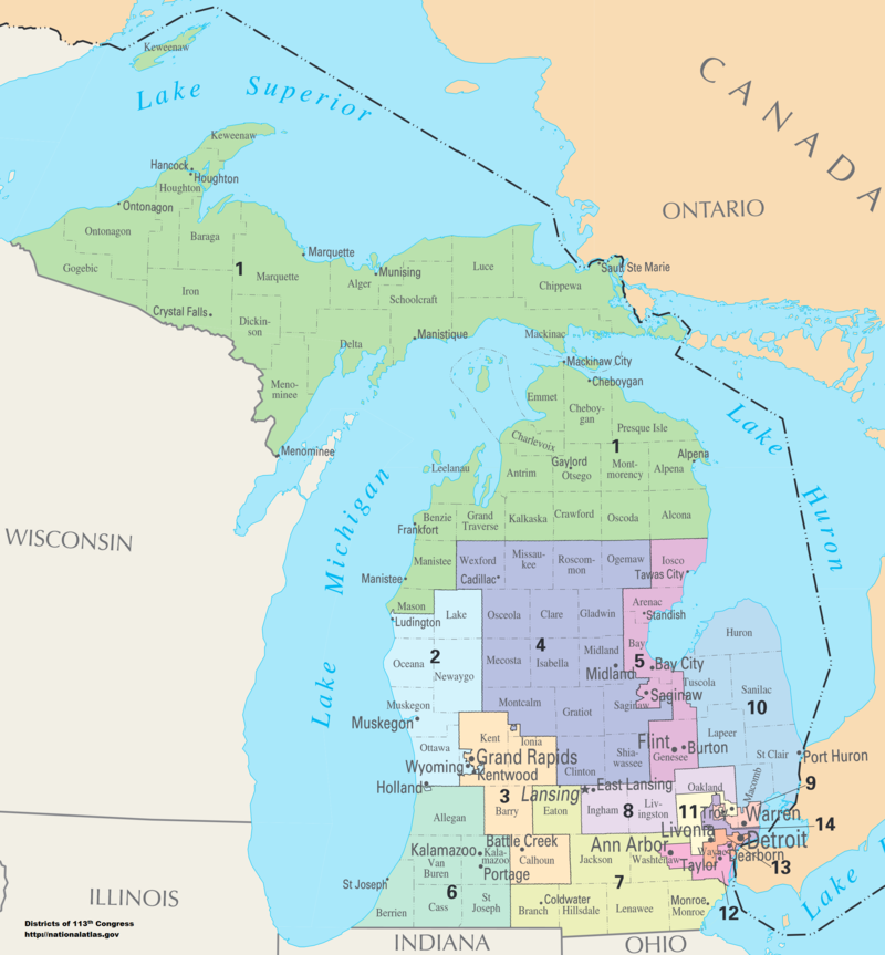 Michigans current congressional districts, shown here, are in the process of being redrawn.