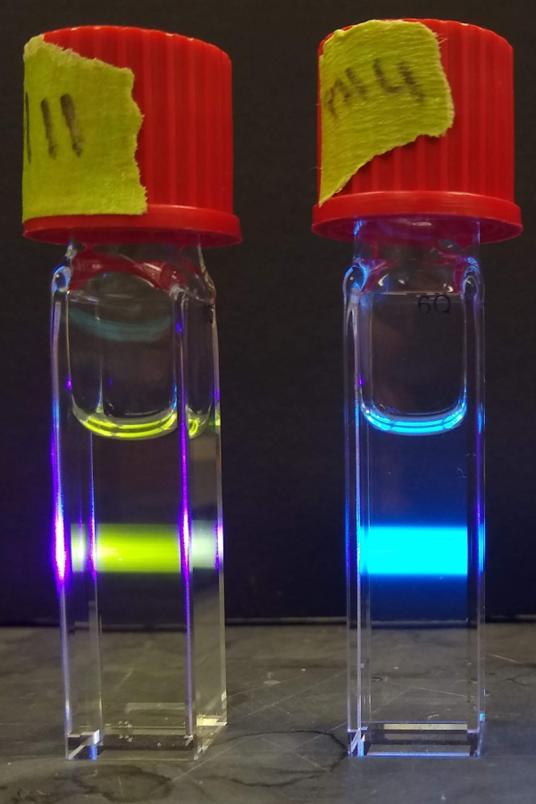 The Knightletin compound displays different levels of fluorescence at different Ph levels. (Photo courtesy Mark Muyskens)