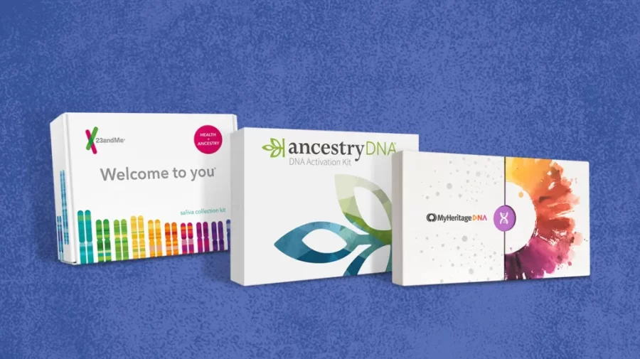 Ancestry tests have been a way for members of the African diasphora in the Calvin community to connect with their roots.  