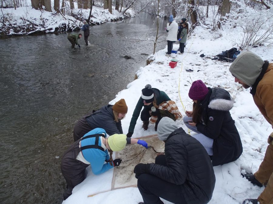 Biology Students conduct research on Plaster Creek as a part of class curriculum.