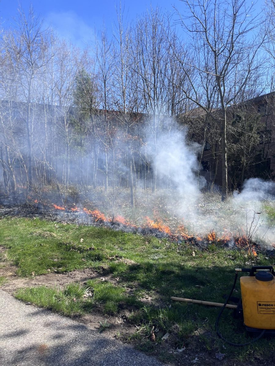 Calvins biology department orchestrated controlled burns on parts of campus to improve the areas ecological health.