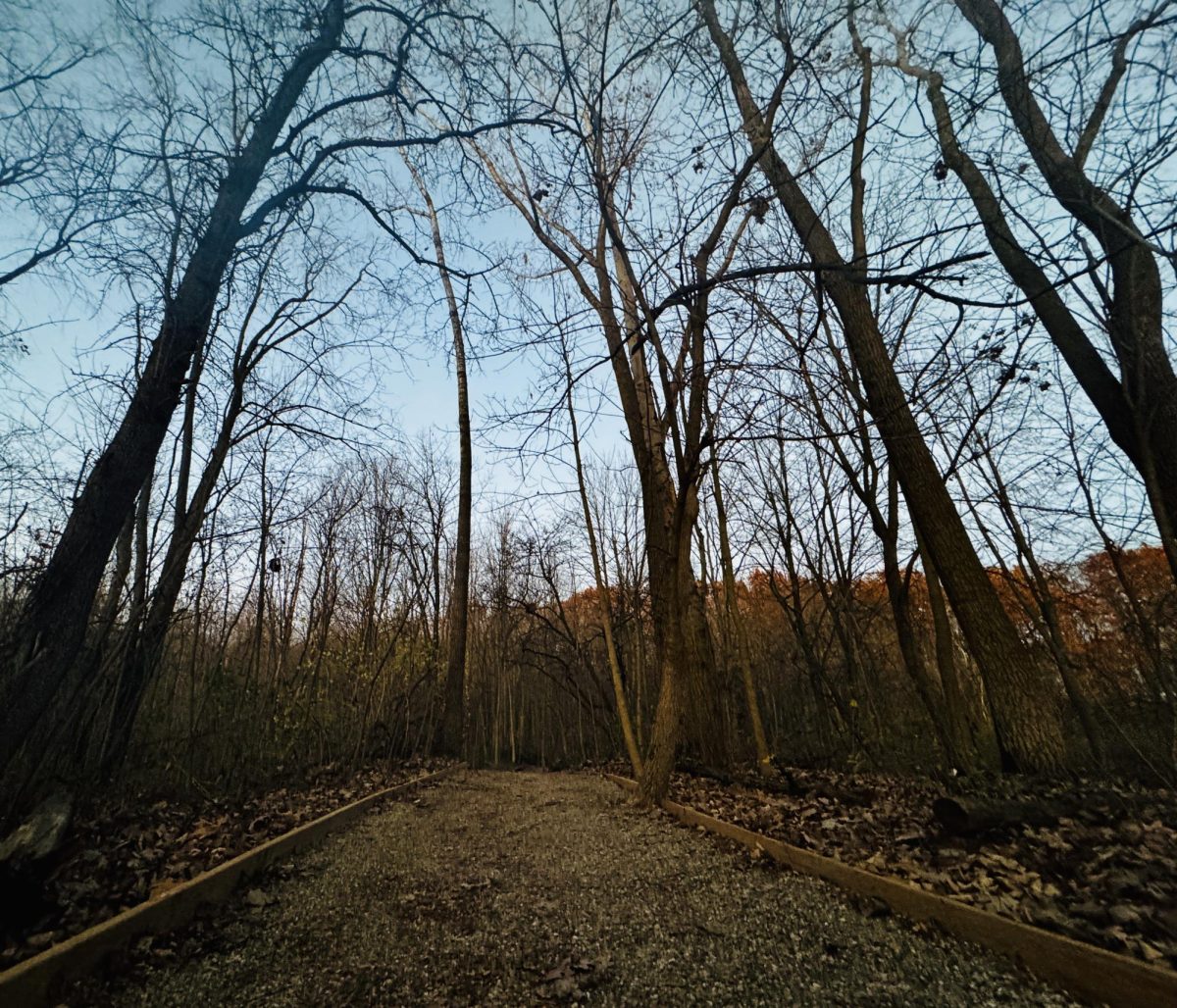 The Nature Preserve offers several trails for walking or meditation.